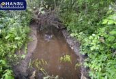 2 KÕRVUTI ASUVAT KINNISTUT–ÜLE 3 HA MAAD!